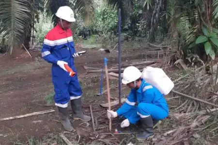 Awal 2026, Elnusa Percepat Eksplorasi Migas di Indonesia Timur Lewat Penguatan Teknologi Seismik Elnusa mempercepat eksplorasi migas di Indonesia Timur pada awal 2026 dengan investasi teknologi seismik mutakhir untuk mendukung ketahanan energi nasional.