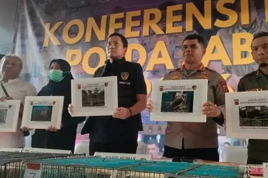 Polda Jabar Bongkar Sindikat Perdagangan Elang Dilindungi, 14 Burung Langka Diselamatkan Ditreskrimsus Polda Jabar membongkar perdagangan satwa dilindungi di Indramayu dan menyelamatkan 14 ekor burung elang dari berbagai jenis.