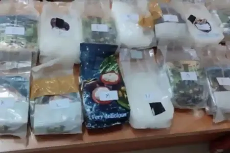 Ditresnarkoba Polda Lampung menggagalkan penyelundupan 17,29 kg sabu di Exit Tol Bakauheni. Satu tersangka asal Lumajang diamankan.