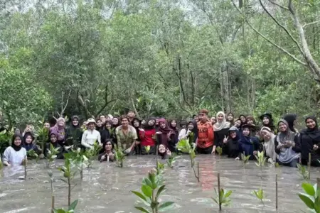 Telkom Dorong Konservasi Bekantan dan Mangrove di Tarakan Lewat Bumi Berseru Fest Telkom bersama komunitas dorong konservasi bekantan dan mangrove di Tarakan melalui Bumi Berseru Fest berbasis kolaborasi generasi muda.
