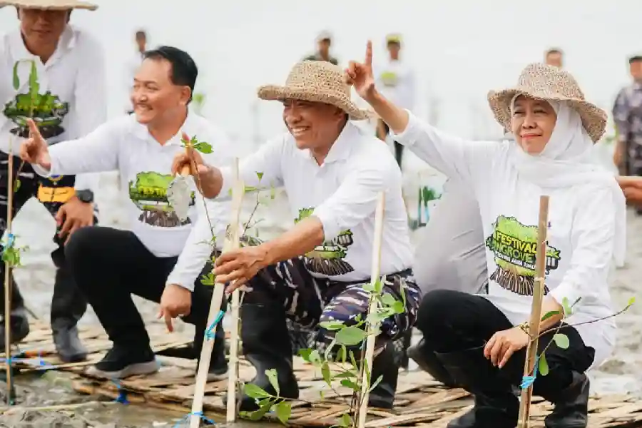 Nilai transaksi ekonomi KTH Jawa Timur capai Rp367,95 miliar pada Triwulan I 2026, tertinggi nasional dan dorong ekonomi masyarakat hutan.