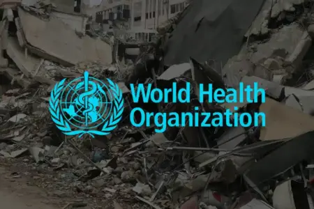 The World Health Organization (WHO)