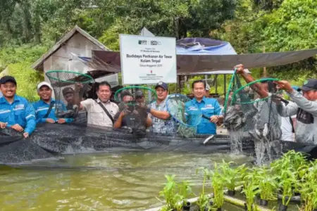 Ekonomi Kayong Utara tumbuh 5,89% pada 2025, tertinggi lima tahun terakhir