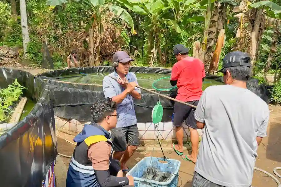 Ekonomi Kayong Utara tumbuh 5,89% pada 2025, tertinggi lima tahun terakhir