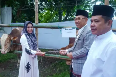 Korpri Kota Mojokerto menghimpun 25 hewan kurban pada Iduladha 1447 H di tengah tantangan ekonomi sebagai wujud kepedulian sosial.