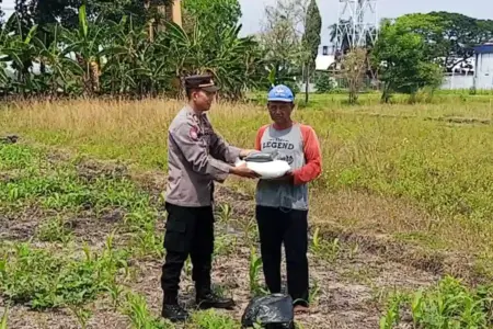 Dukung Ketahanan Pangan Nasional, Polsek Magersari Salurkan Bantuan Pupuk Jagung untuk Petani Mojokerto Polsek Magersari Polres Mojokerto Kota menyalurkan bantuan pupuk jagung kepada petani guna mendukung ketahanan pangan nasional.