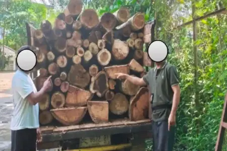 Gakkum Kehutanan dan Dishut Lampung menangkap dua pelaku illegal logging di Hutan Lindung Batu Serampok. Satu pelaku merupakan residivis.