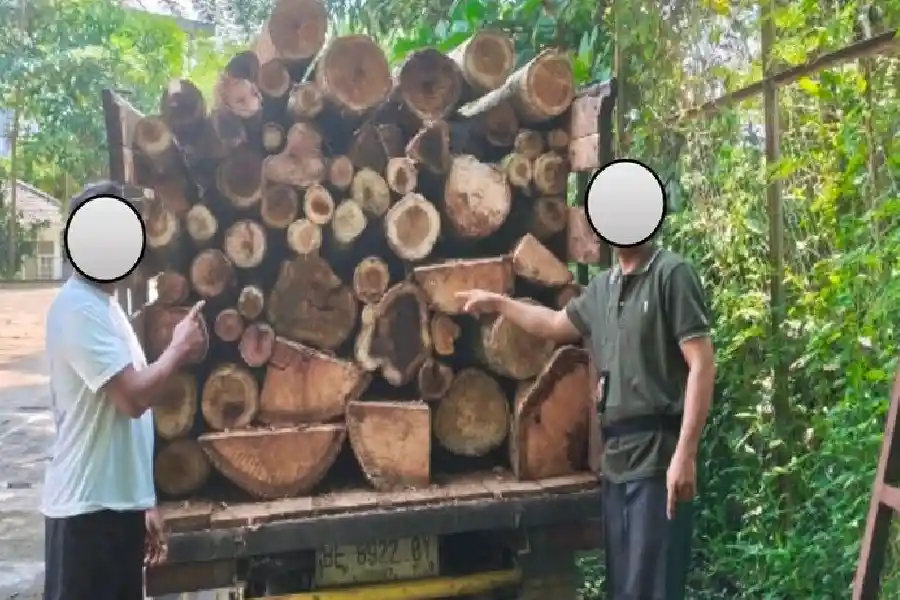 Gakkum Kehutanan dan Dishut Lampung menangkap dua pelaku illegal logging di Hutan Lindung Batu Serampok. Satu pelaku merupakan residivis.