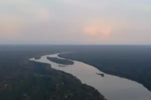 Negara-Negara Afrika Sepakati Peta Jalan Baru Kelola Hutan Berkelanjutan untuk Ketahanan Iklim dan Ekonomi Hijau Ilsutrasi hutan di Afrika
