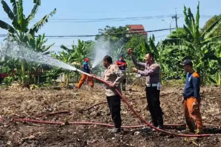 Polres Pelabuhan Tanjungperak Kerahkan Damkar Siram Lahan Jagung Hadapi Ancaman Kemarau Polres Pelabuhan Tanjungperak bersama Damkar Surabaya menyiram lahan jagung di Tambak Wedi untuk menghadapi ancaman kemarau panjang.