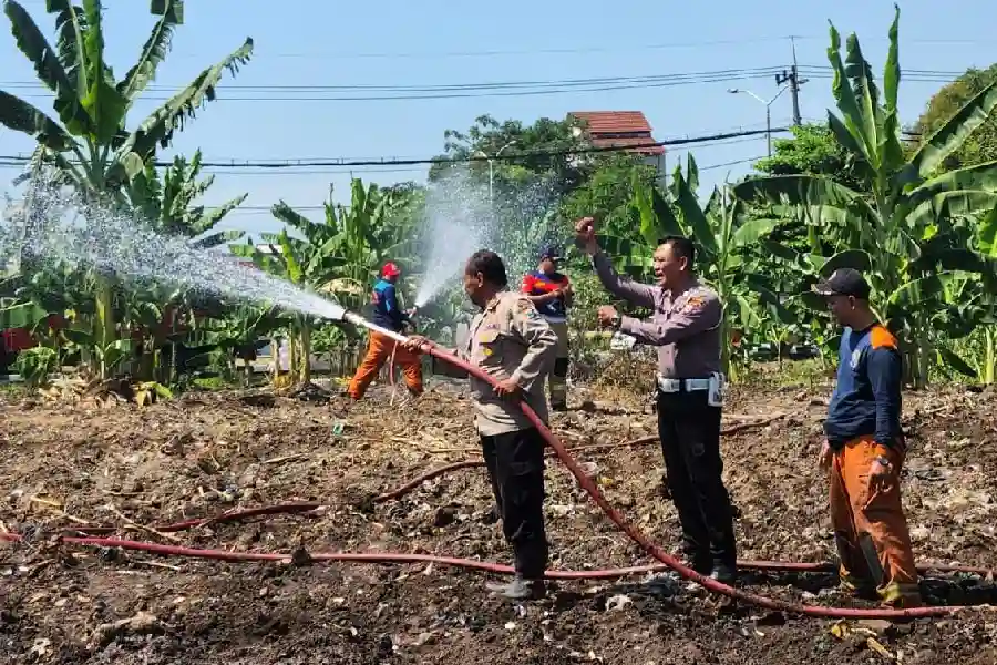 Polres Pelabuhan Tanjungperak Kerahkan Damkar Siram Lahan Jagung Hadapi Ancaman Kemarau Polres Pelabuhan Tanjungperak bersama Damkar Surabaya menyiram lahan jagung di Tambak Wedi untuk menghadapi ancaman kemarau panjang.