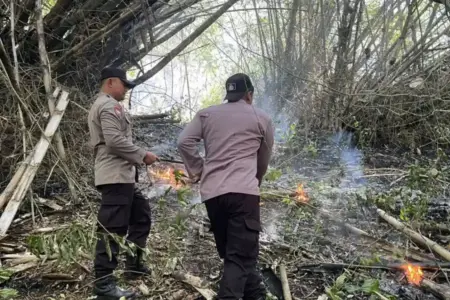 Polisi dan Warga Berhasil Padamkan Karhutla Seluas 3 Hektare di Gunung Orak Arik Trenggalek Polres Trenggalek bersama warga dan lintas sektor berhasil memadamkan kebakaran hutan seluas sekitar 3 hektare di Gunung Orak Arik, Pogalan.